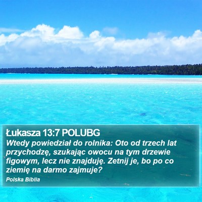 Łukasza 13:7 POLUBG Bible Verse Image