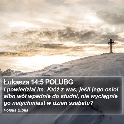 Łukasza 14:5 POLUBG Bible Verse Image