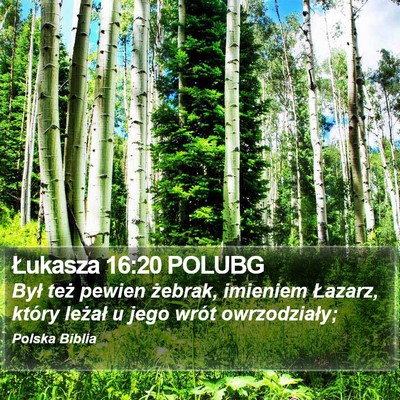 Łukasza 16:20 POLUBG Bible Verse Image