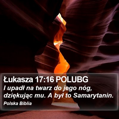Łukasza 17:16 POLUBG Bible Verse Image