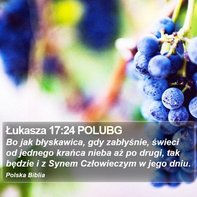 Łukasza 17:24 POLUBG Bible Verse Image