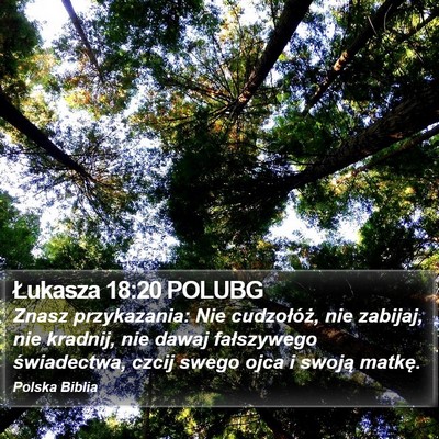 Łukasza 18:20 POLUBG Bible Verse Image