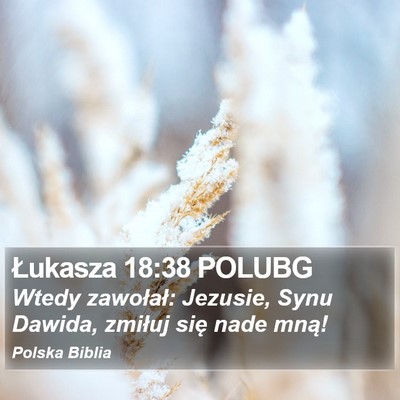 Łukasza 18:38 POLUBG Bible Verse Image