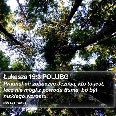 Łukasza 19:3 POLUBG Bible Verse Image