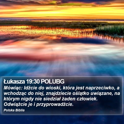 Łukasza 19:30 POLUBG Bible Verse Image