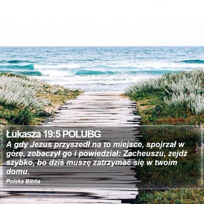 Łukasza 19:5 POLUBG Bible Verse Image