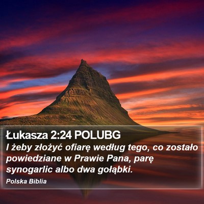 Łukasza 2:24 POLUBG Bible Verse Image