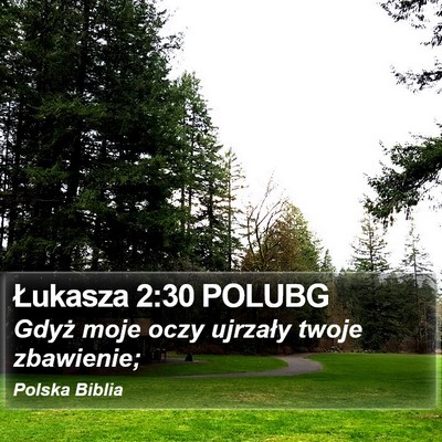 Łukasza 2:30 POLUBG Bible Verse Image