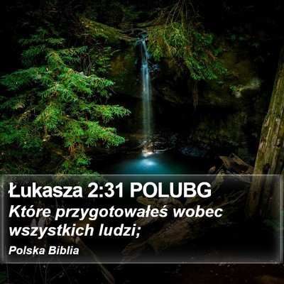 Łukasza 2:31 POLUBG Bible Verse Image
