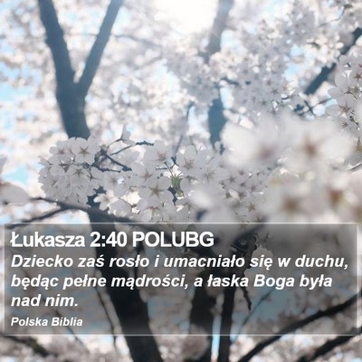 Łukasza 2:40 POLUBG Bible Verse Image