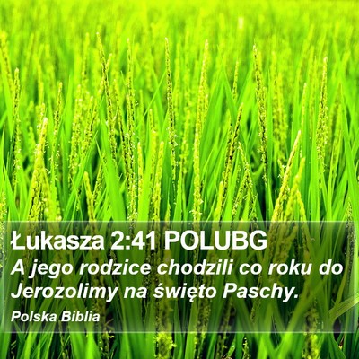Łukasza 2:41 POLUBG Bible Verse Image