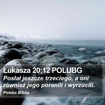Łukasza 20:12 POLUBG Bible Verse Image