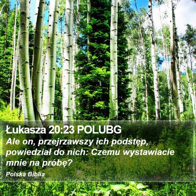 Łukasza 20:23 POLUBG Bible Verse Image