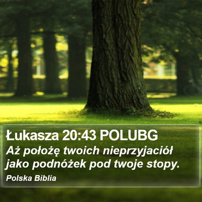 Łukasza 20:43 POLUBG Bible Verse Image
