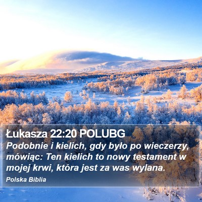 Łukasza 22:20 POLUBG Bible Verse Image