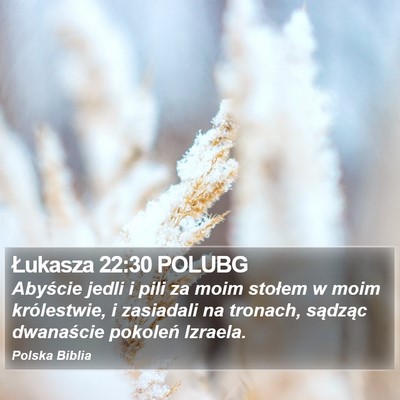 Łukasza 22:30 POLUBG Bible Verse Image