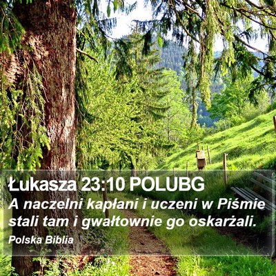 Łukasza 23:10 POLUBG Bible Verse Image