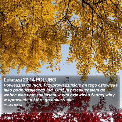 Łukasza 23:14 POLUBG Bible Verse Image