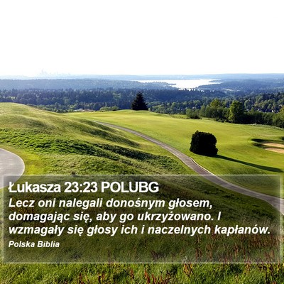 Łukasza 23:23 POLUBG Bible Verse Image