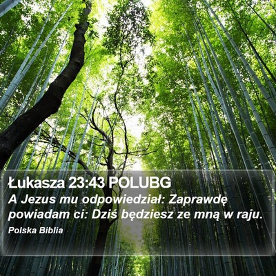 Łukasza 23:43 POLUBG Bible Verse Image