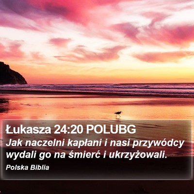 Łukasza 24:20 POLUBG Bible Verse Image