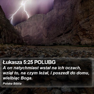 Łukasza 5:25 POLUBG Bible Verse Image