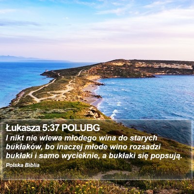 Łukasza 5:37 POLUBG Bible Verse Image