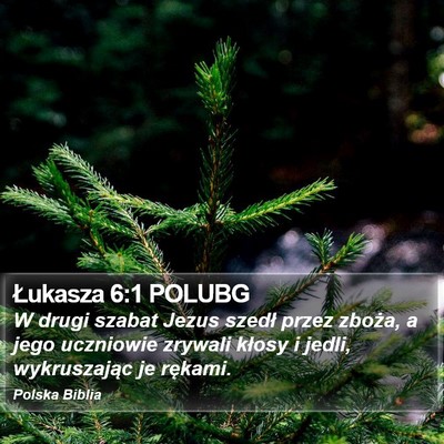 Łukasza 6:1 POLUBG Bible Verse Image