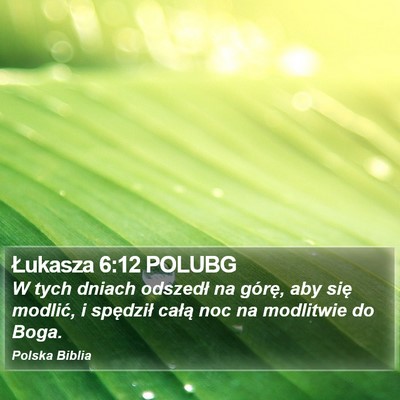 Łukasza 6:12 POLUBG Bible Verse Image