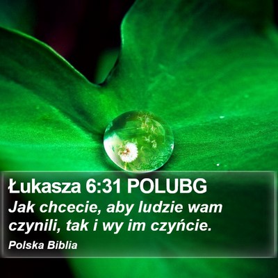 Łukasza 6:31 POLUBG Bible Verse Image
