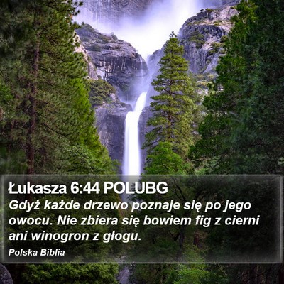 Łukasza 6:44 POLUBG Bible Verse Image