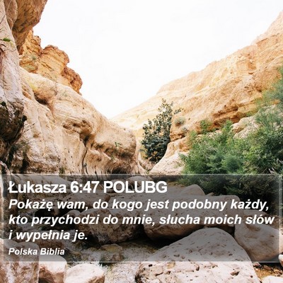 Łukasza 6:47 POLUBG Bible Verse Image