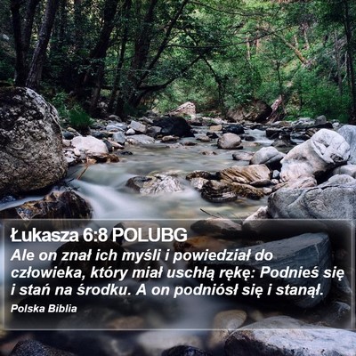 Łukasza 6:8 POLUBG Bible Verse Image