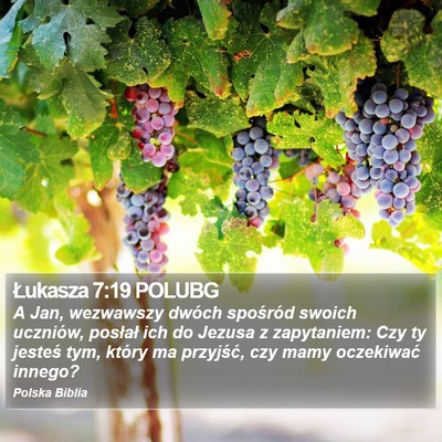 Łukasza 7:19 POLUBG Bible Verse Image