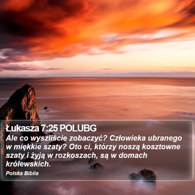 Łukasza 7:25 POLUBG Bible Verse Image