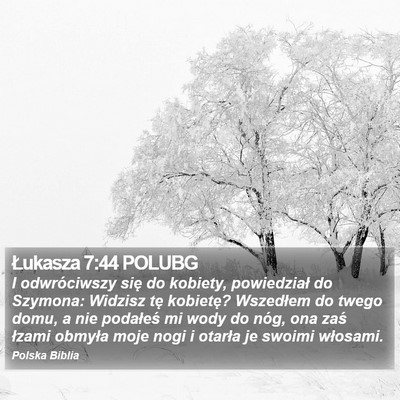 Łukasza 7:44 POLUBG Bible Verse Image