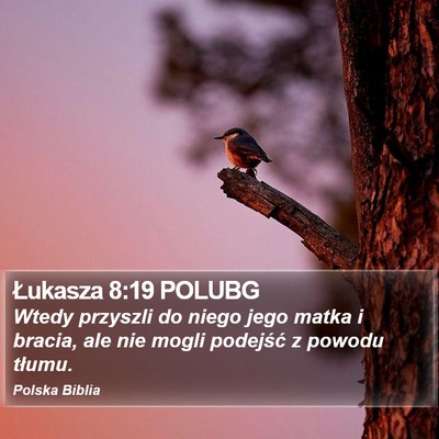 Łukasza 8:19 POLUBG Bible Verse Image