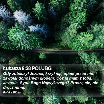 Łukasza 8:28 POLUBG Bible Verse Image