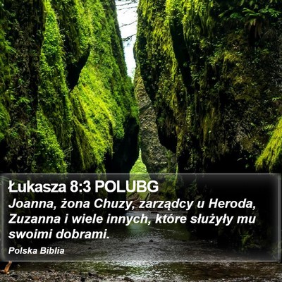 Łukasza 8:3 POLUBG Bible Verse Image