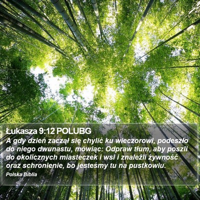 Łukasza 9:12 POLUBG Bible Verse Image