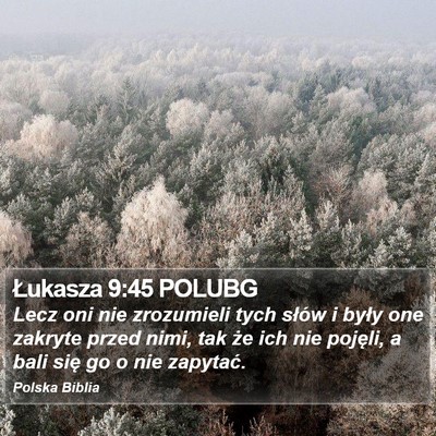 Łukasza 9:45 POLUBG Bible Verse Image
