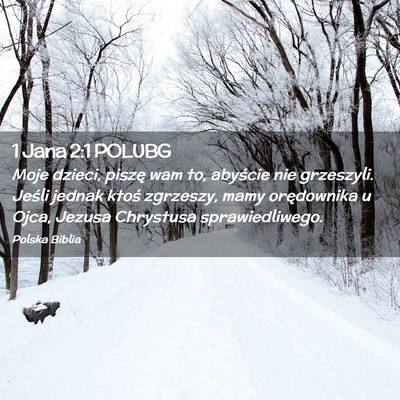 Picture 02 - 1 Jana 2:1 POLUBG - Moje dzieci, piszę wam to, abyście nie - Bible Verse Picture