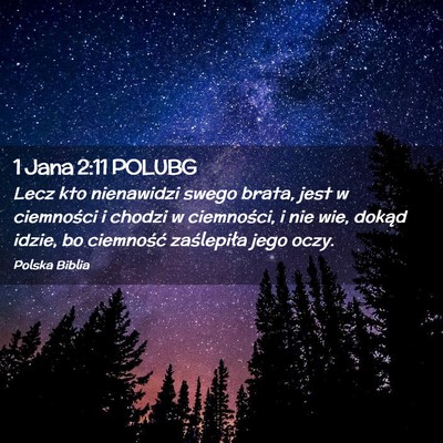Picture 02 - 1 Jana 2:11 POLUBG - Lecz kto nienawidzi swego brata, jest w - Bible Verse Picture