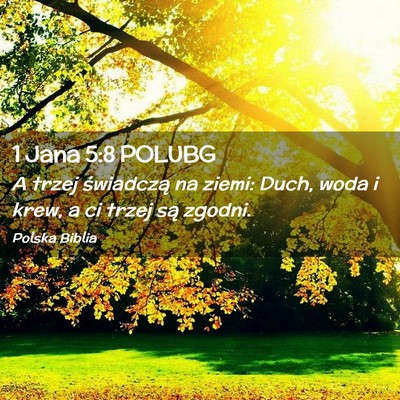 Picture 02 - 1 Jana 5:8 POLUBG - A trzej świadczą na ziemi: Duch, woda i krew, a - Bible Verse Picture