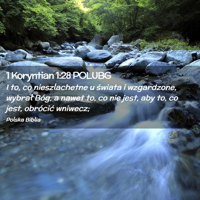 Picture 02 - 1 Koryntian 1:28 POLUBG - I to, co nieszlachetne u świata i wzgardzone, - Bible Verse Picture