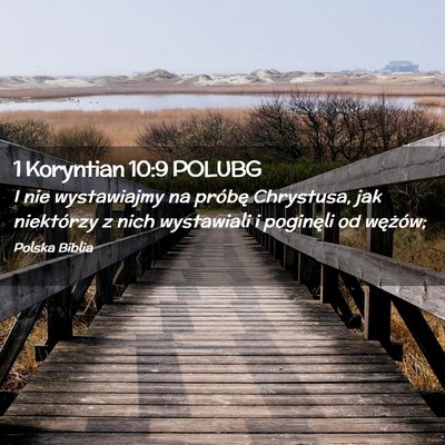 Picture 02 - 1 Koryntian 10:9 POLUBG - I nie wystawiajmy na próbę Chrystusa, jak - Bible Verse Picture