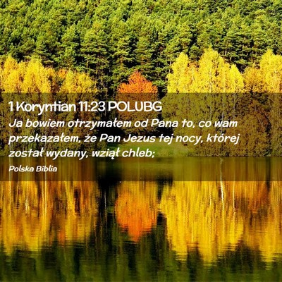 Picture 02 - 1 Koryntian 11:23 POLUBG - Ja bowiem otrzymałem od Pana to, co wam - Bible Verse Picture