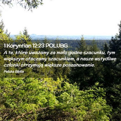 Picture 02 - 1 Koryntian 12:23 POLUBG - A te, które uważamy za mało godne szacunku, - Bible Verse Picture