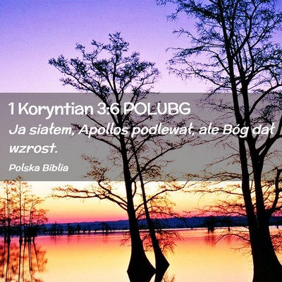 Picture 02 - 1 Koryntian 3:6 POLUBG - Ja siałem, Apollos podlewał, ale Bóg dał - Bible Verse Picture
