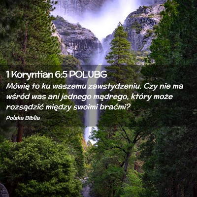 Picture 02 - 1 Koryntian 6:5 POLUBG - Mówię to ku waszemu zawstydzeniu. Czy nie ma - Bible Verse Picture